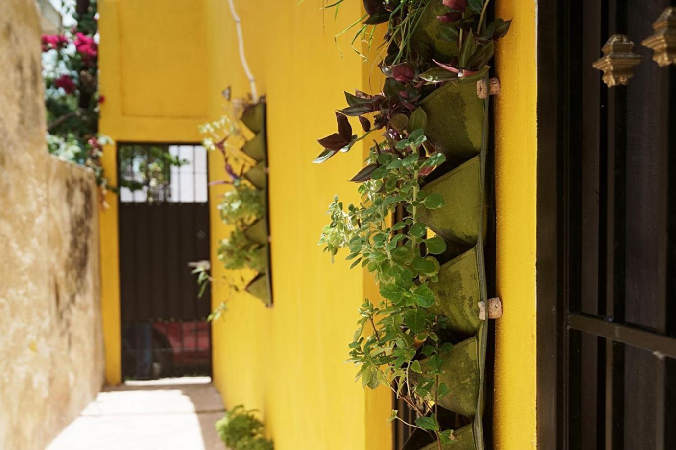 Habitacion Roja / Casa Del Cafe Campeche Exterior foto